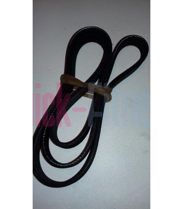 Correa para bici estática Domyos VM350