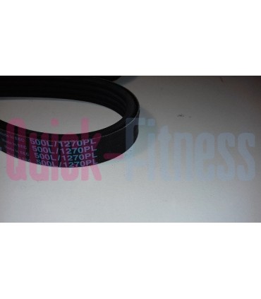 Correa bici spinning Lexco SP 505