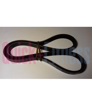 Correa bici spinning Lexco SP 505