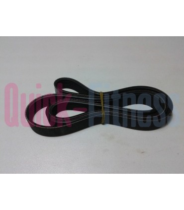 Repuesto correa bici estática NORDICTRACK VU 19 NTEX769180 CORREAS