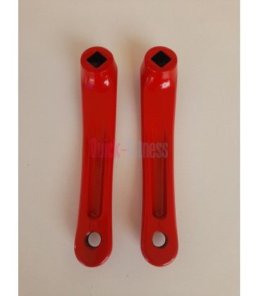 repuesto Juego de bielas para bici spinning GAC BK 450 Repuestos bicis