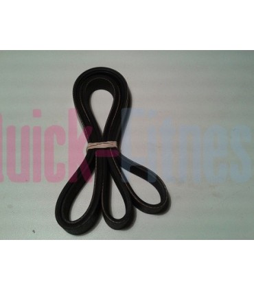 Correa para bici spinning BODYTONE DS06  Repuestos CORREA Elípticas