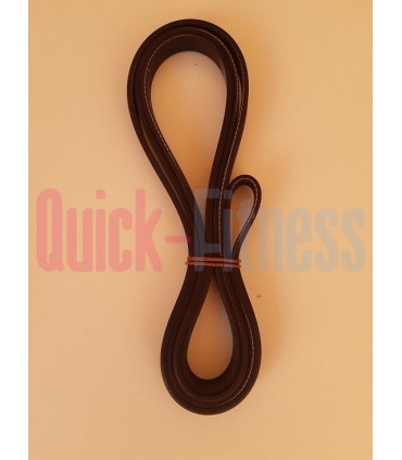 Repuesto correa elíptica Kettler Cross XT  Correas elípticas Kettler