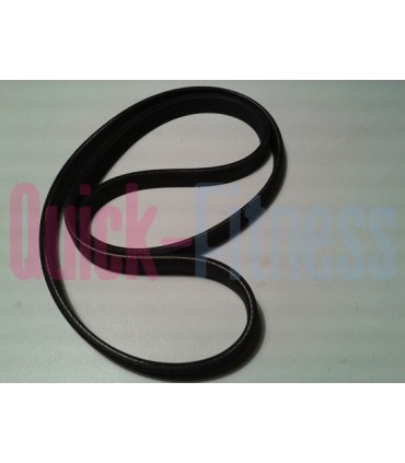 Correa bici estática Kettler Cycle P  Art.-No. 07628-500  CORREAS BICI