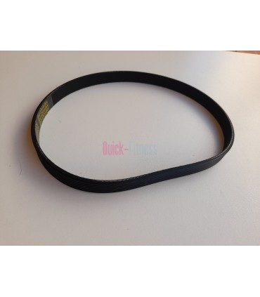 Correa motor Cinta de correr Proform Pace Trainer CORREAS PROFORM