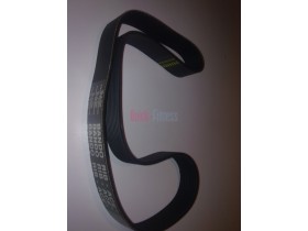 repuesto correa motor cinta de correr Life Fitness 93T Correas cintas