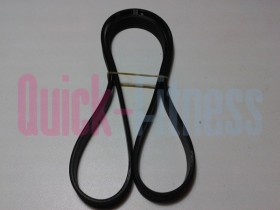 repuesto Correa par elíptica Salter RS-23 CORREAS ELÍPTICAS SALTER