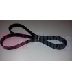 Repuesto Correa para bici spinning Salter SPACE PT-1890  CORREAS BICIS Salter