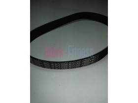correa motor cinta de correr Proform 600ZLT (8PJ 556) CORREAS PROFORM
