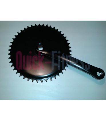 repuesto plato biela bici spinning Startrac V Bike 46T Recambios spinner