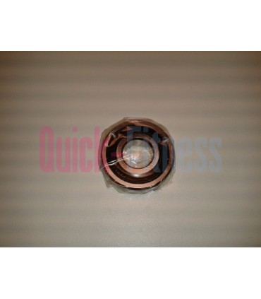 repuesto rodamiento disco de inercia bici spinning DKN Eclipse